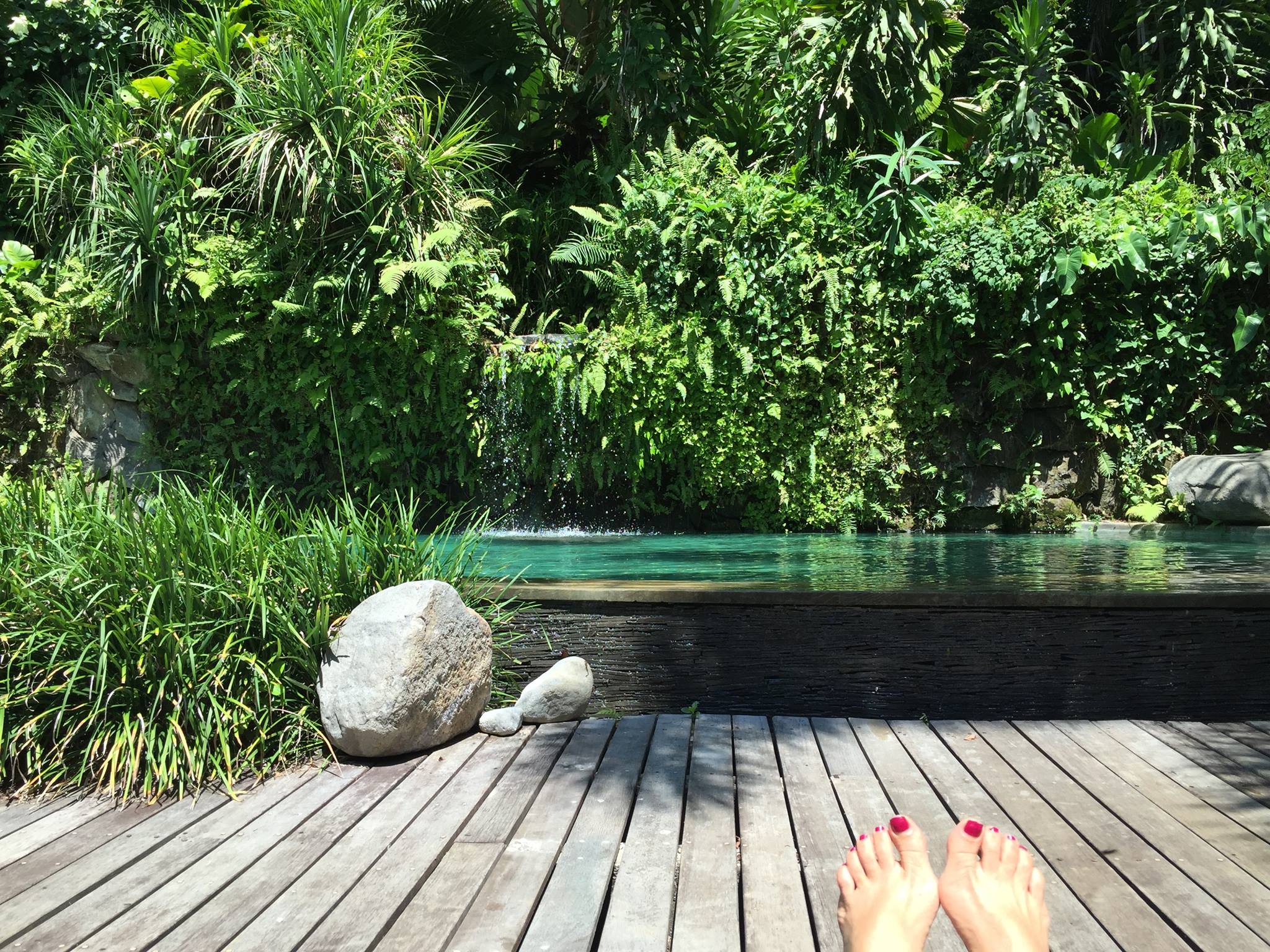 Relaxing & savoring Eat Pray Doula memories by the pool at Pelangi estate.